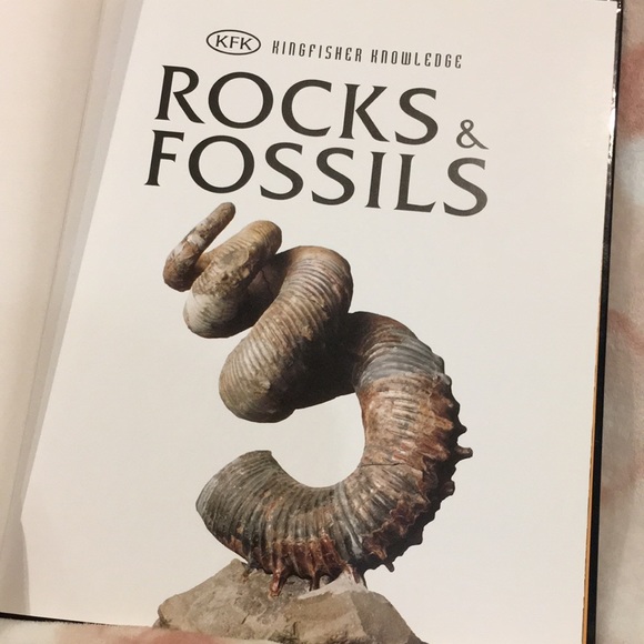 Rocks & Fossils Book by Kingfisher Knowledge Geology Science Read Resale - Picture 8 of 14